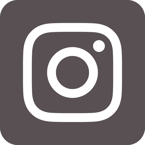 logo Insta